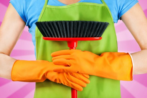 Professional cleaner in Bow cleaning a bright modern living room