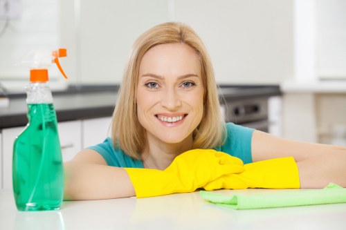 Accessible Bow oven cleaning information for screen readers