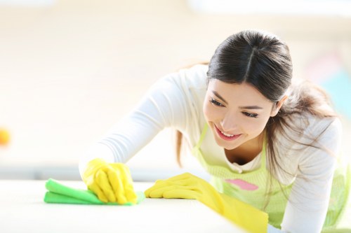 Safety-focused oven cleaning process with protective equipment and care