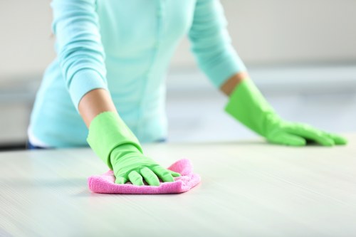 End of tenancy cleaners in Bow refreshing a rental property