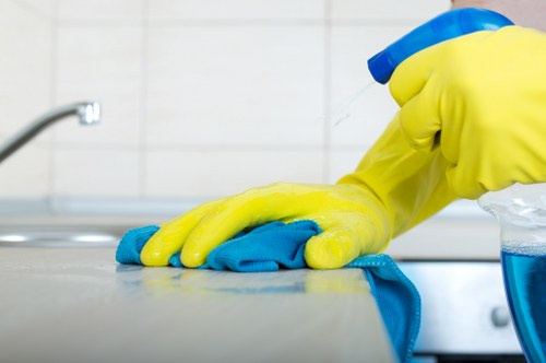 Odour removal and stain treatment during sofa cleaning in Bow
