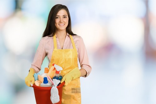 Stain removal and upholstery care in Bow