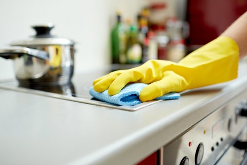 Supplier audit and risk assessment for Oven Cleaning Bow
